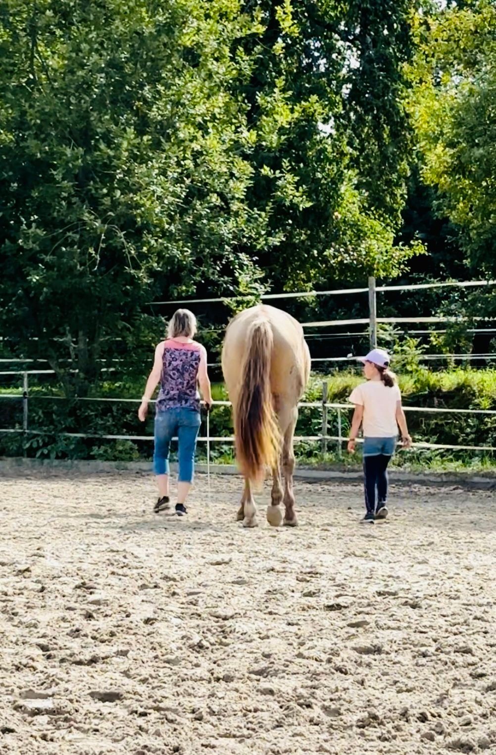 Two people walking alongside a horse in an outdoor fenced area with trees in the background.